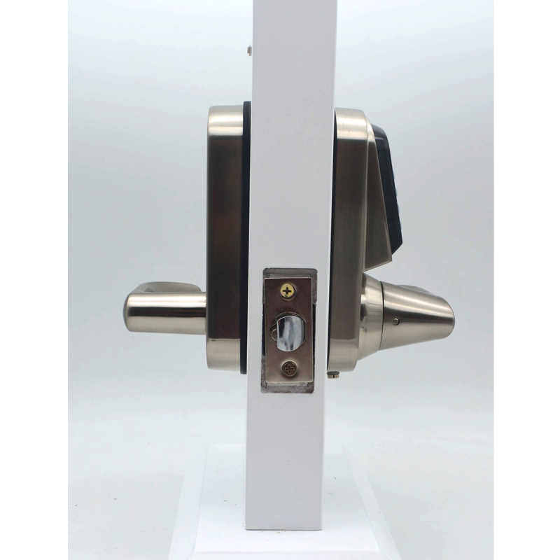 고품질 아연 합금 핸들형 콤비네이션 잠금장치 TTloc - Door Lock 리뷰 및 가격