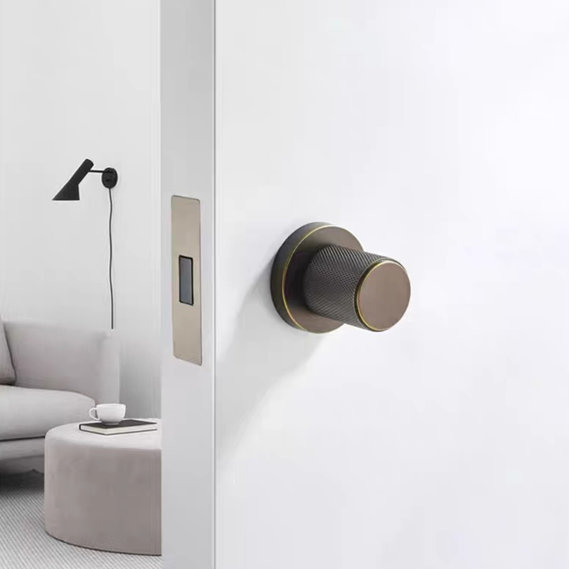 현대적인 디자인의 나무 소재, 금색 마감, 소음이 없는 - Door Handle 리뷰 및 가격